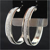 Charm Frosted Big Hoop Earrings